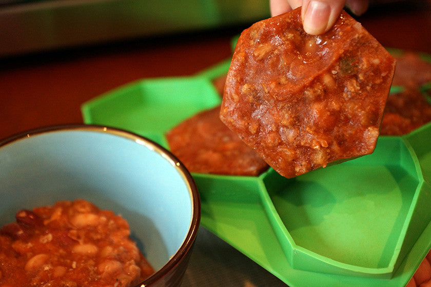 Freezer Buddy Innovative Freezer Container