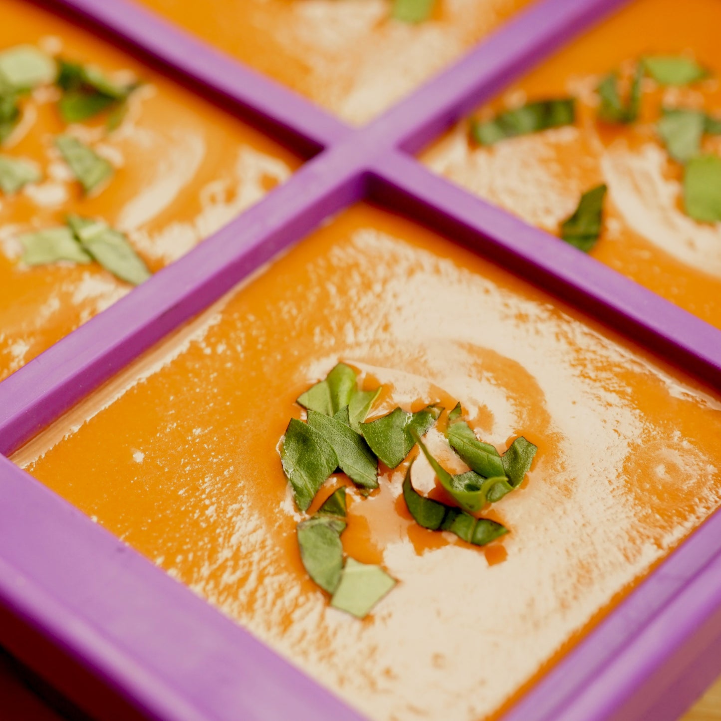 Soup Master® 6 Cup Maximum Capacity Freezer Container